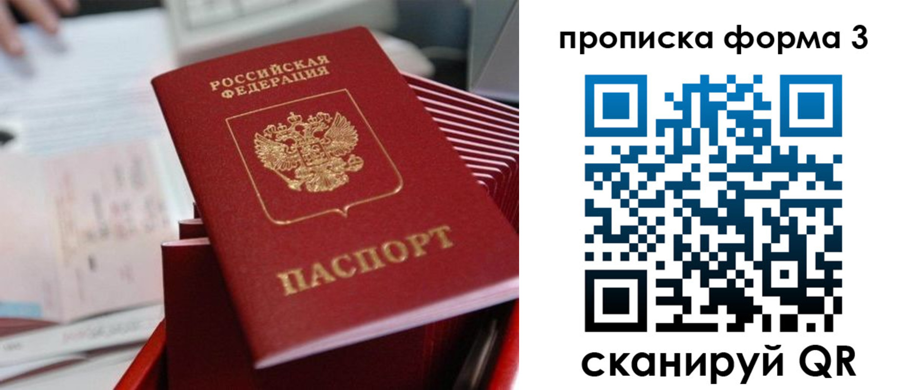 временная регистрация гарантия в Кузнецке